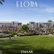 Elora Townhouses Amenities at The Valley